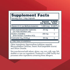 CoQ10 and acetyl-L-carnitine support mitochondrial function