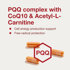Vitamin B-12 and L-carnitine for energy production