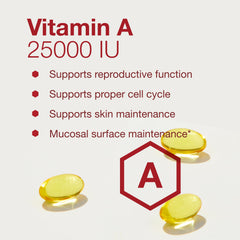 Eye health concept showing retina support from Vitamin A