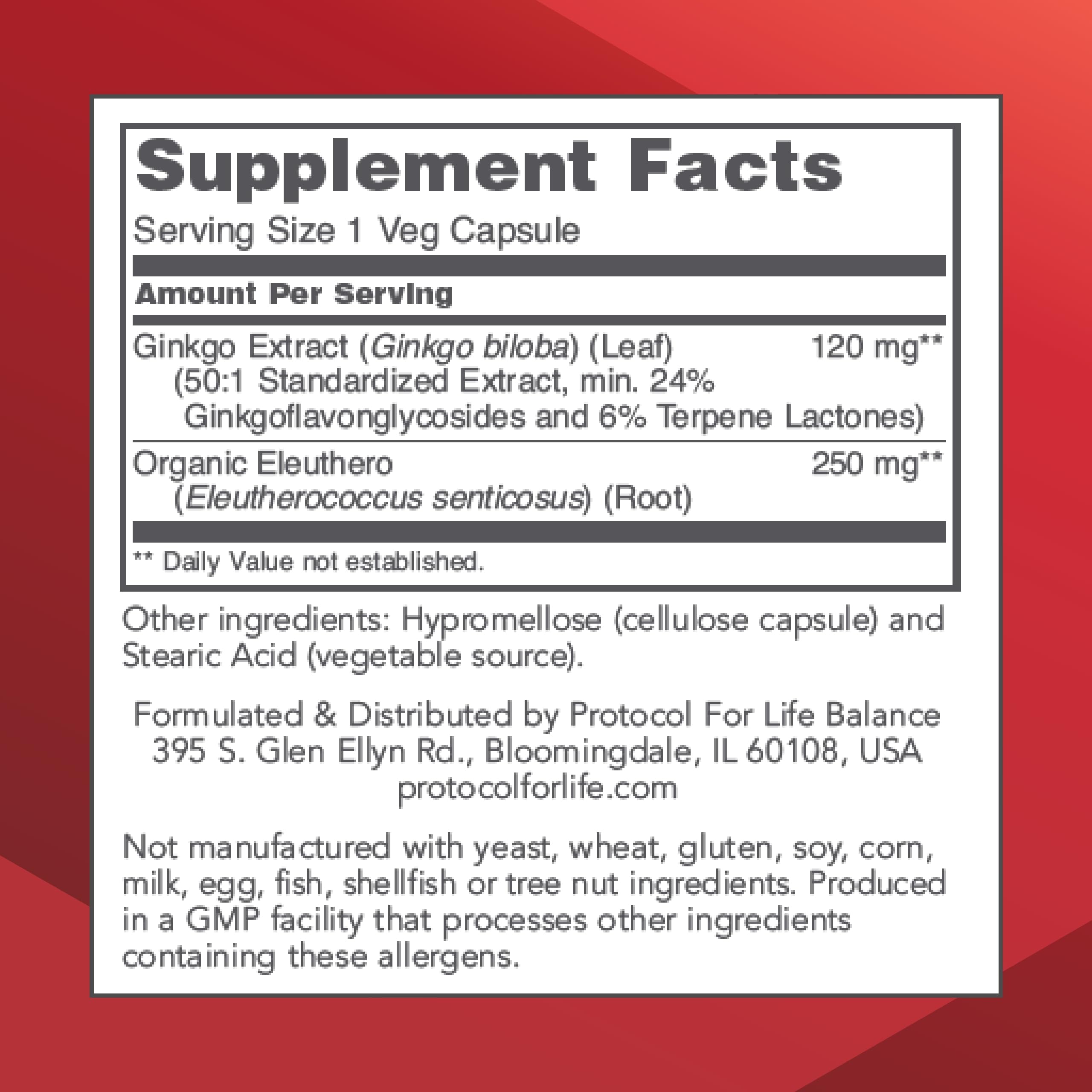 Brain health illustration with Ginkgo Biloba 120 mg