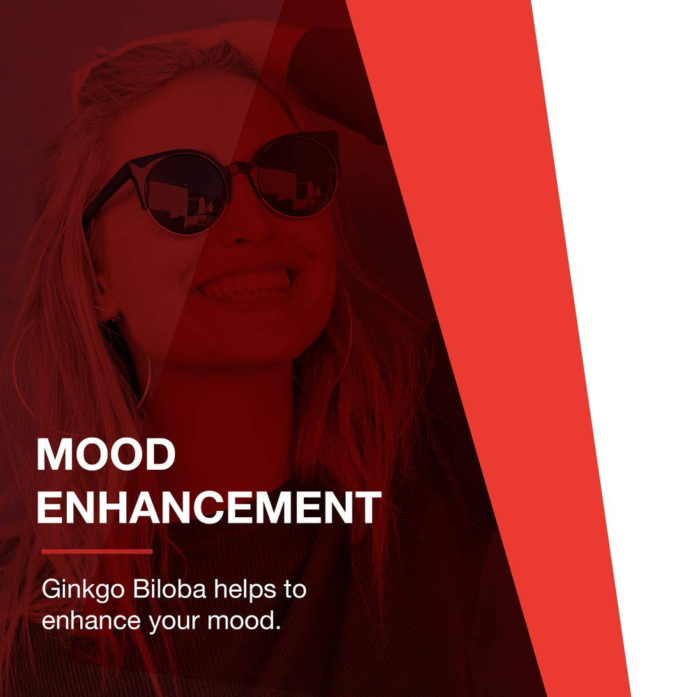 Packaging illustration for Protocol Ginkgo Biloba 120 mg