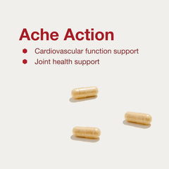 Active lifestyle imagery representing joint support