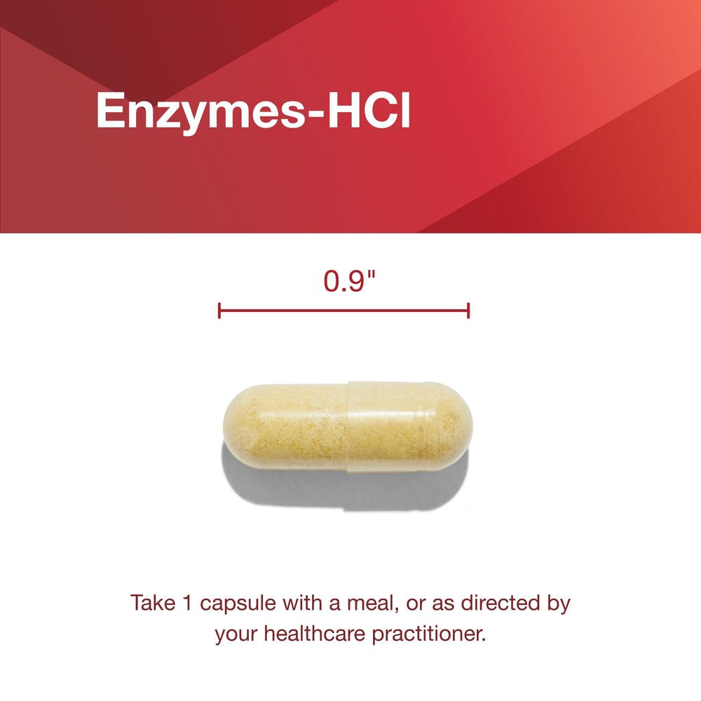 Infographic showing digestion support from enzymes-hcl