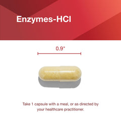 Infographic showing digestion support from enzymes-hcl
