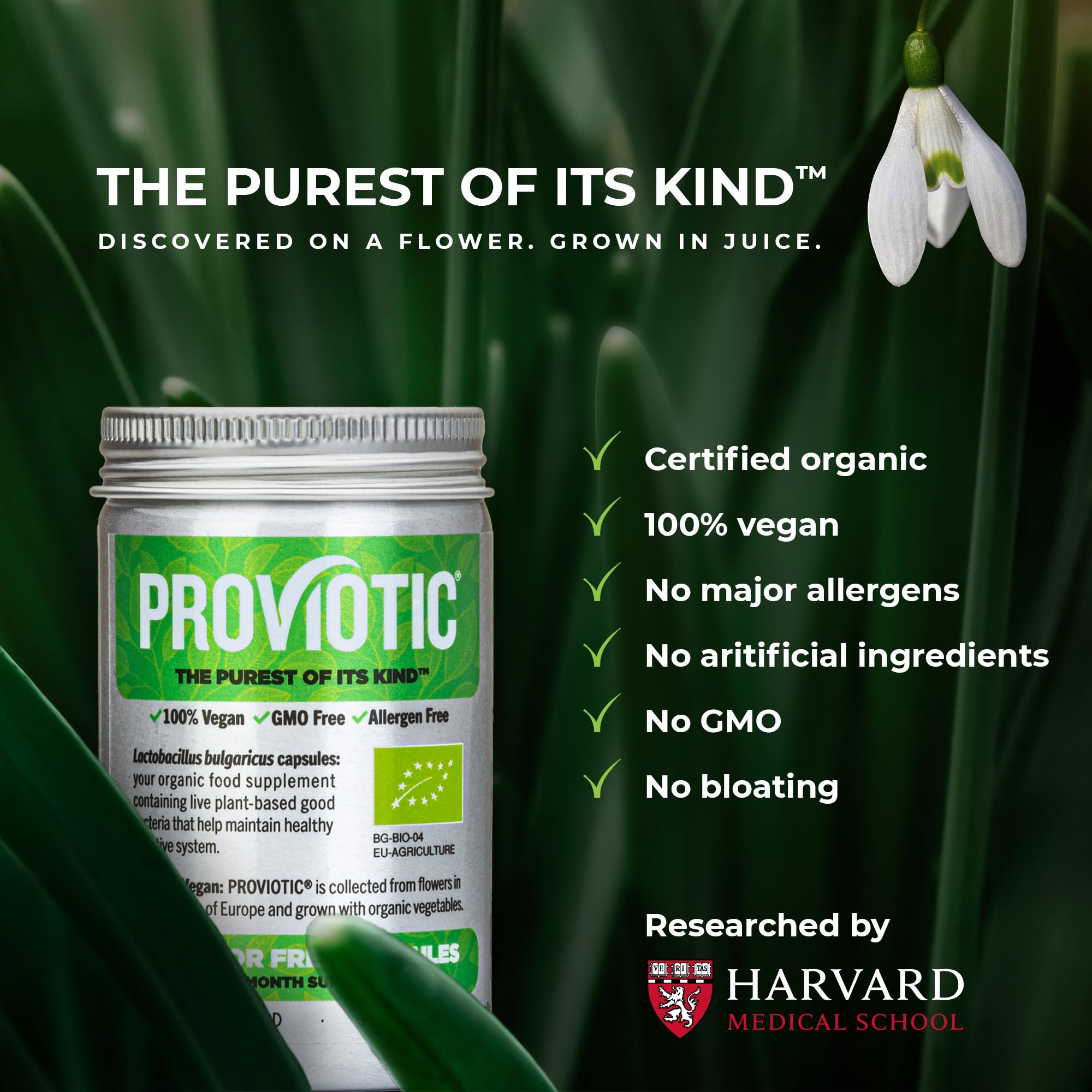 Close-up of PROVIOTIC vegan probiotic capsules