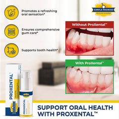 Healthy gums and enamel concept with ProXental
