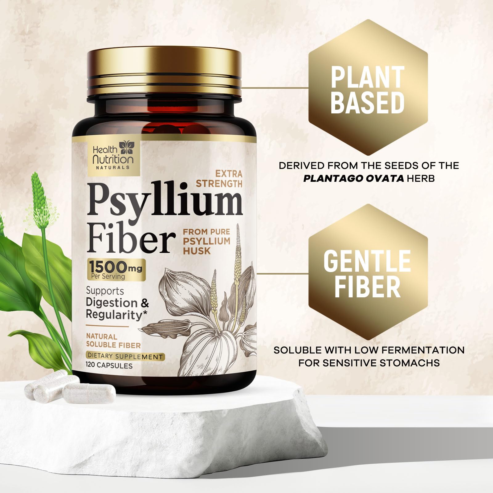 Daily-use psyllium husk capsules for regularity