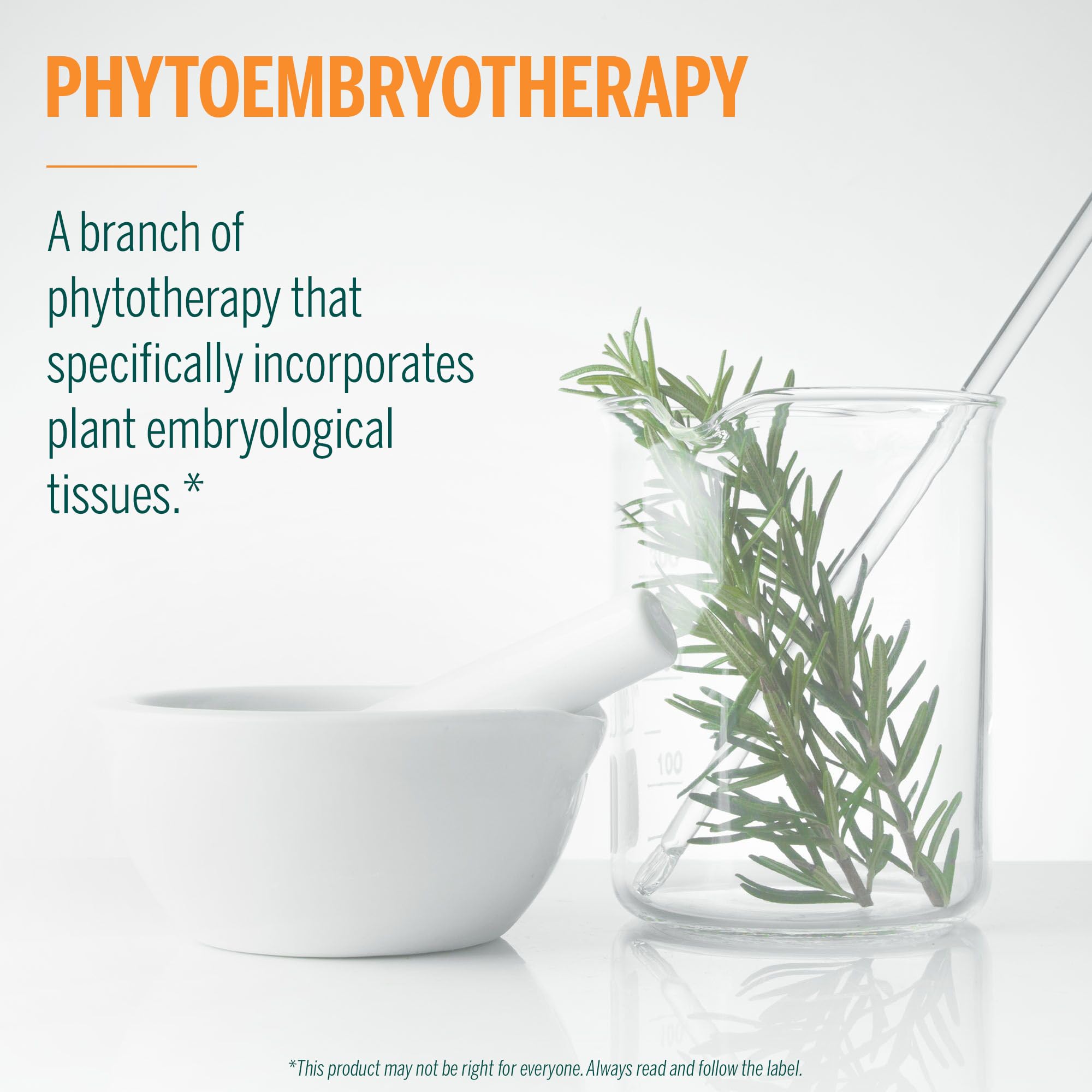 Phytoembryotherapy concept diagram showing plant meristem tissues