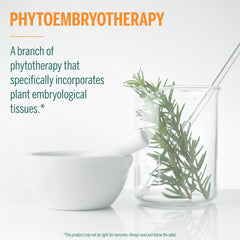 Phytoembryotherapy concept diagram showing plant meristem tissues