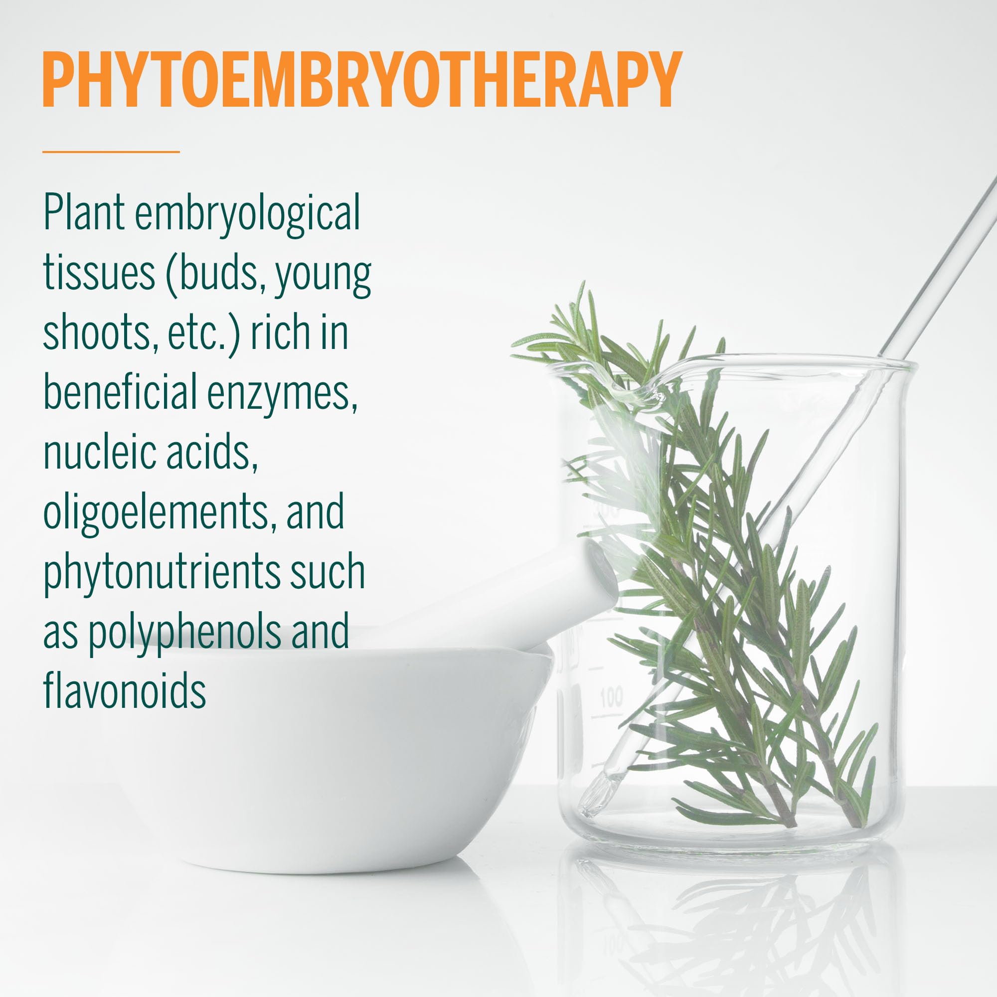 Spring harvest of embryonic plant tissues for Pulmo-gen