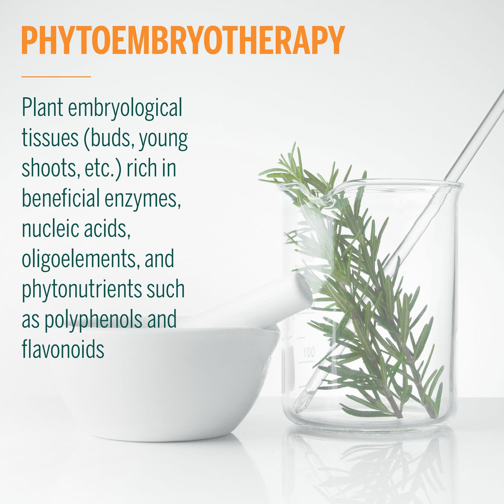 Spring harvest embryonic plant tissues used in Pulmo-gen