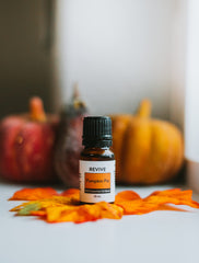 Close-up of oils in Pumpkin Pie blend: clove bud, cardamom, cassia, nutmeg and vanilla