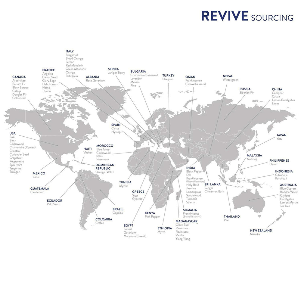 Packaging for Pumpkin Pie Essential Oil Blend by REVIVEEO