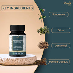Punarnavadi Guggulu packaging box and bottle