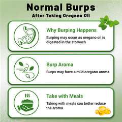 Immune support and digestive health concept