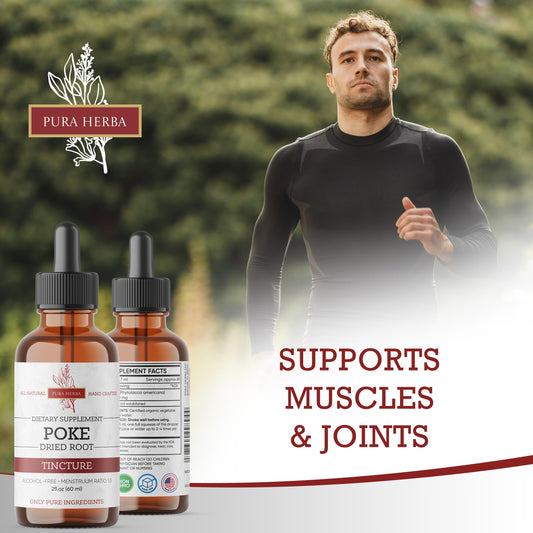Poke Root tincture liquid drops in a dropper