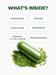 Organic certification and additive-free packaging label.