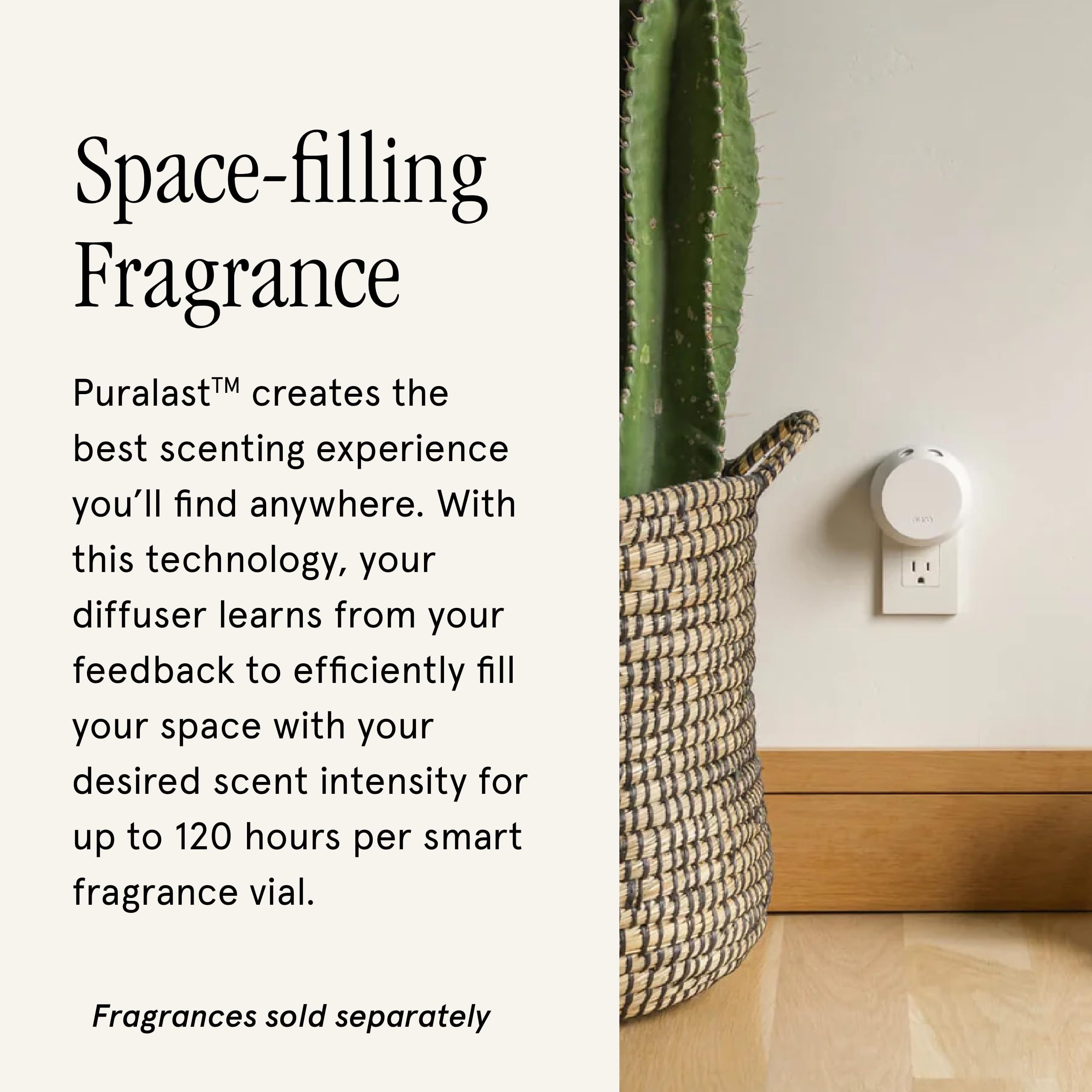 Close-up of fragrance vial being inserted into diffuser
