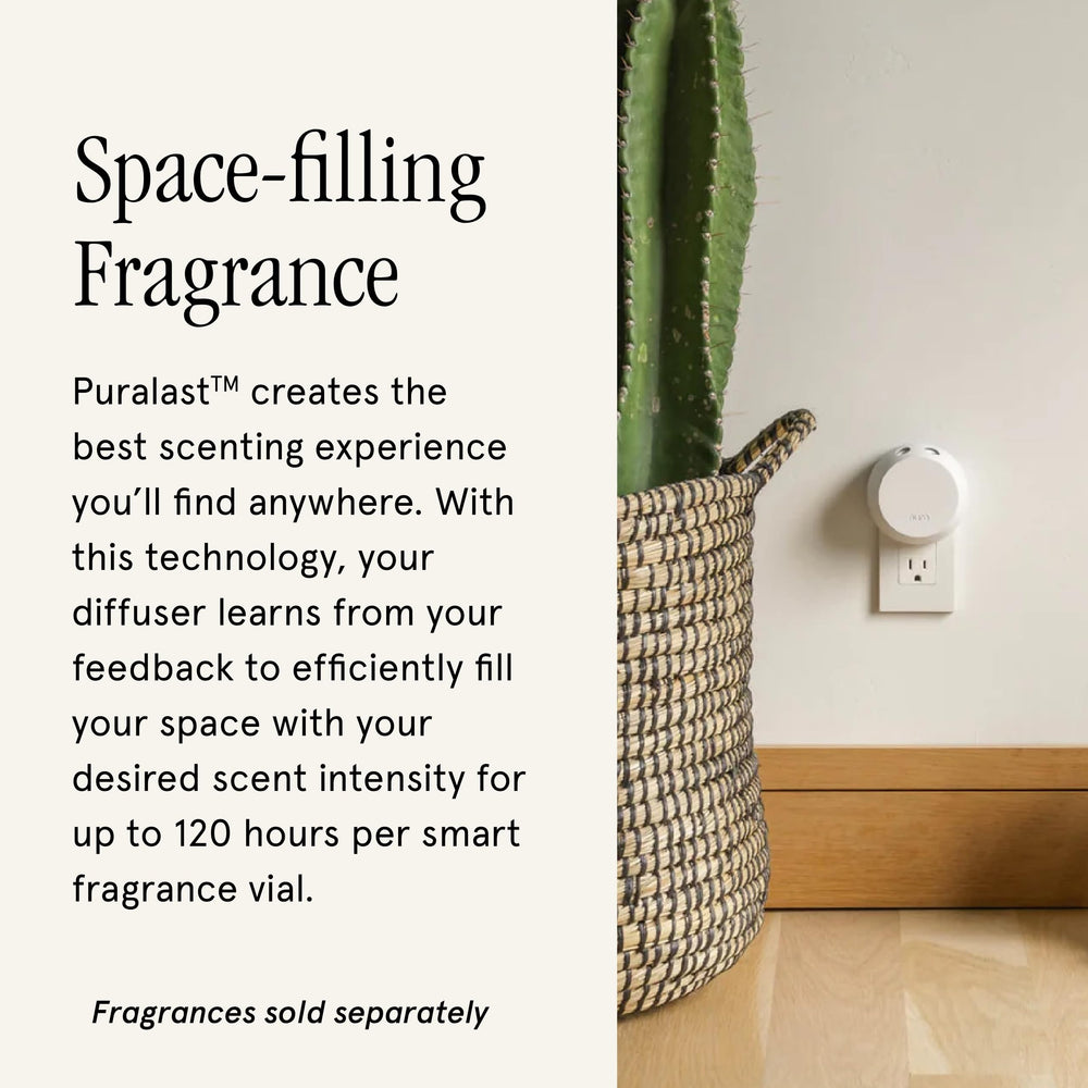 Close-up of fragrance vial being inserted into diffuser
