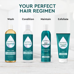 Puracy Scalp Scrub application step demonstrating simple routine