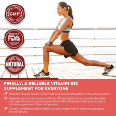 Graphic showing fulvic acid and B12 bioavailability