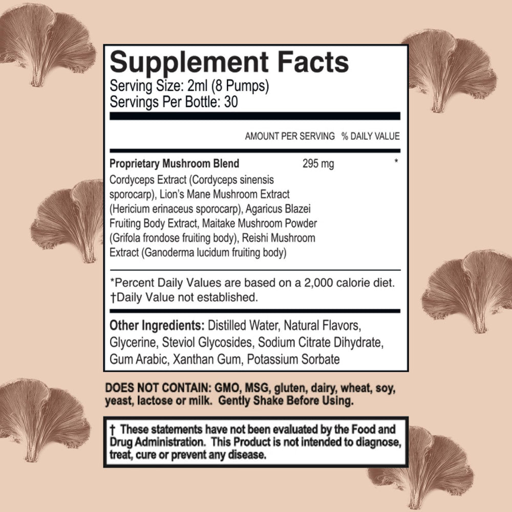 Close-up of Lion's Mane, Cordyceps, Reishi, Maitake and Agaricus Blazei mushrooms
