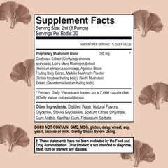 Close-up of Lion's Mane, Cordyceps, Reishi, Maitake and Agaricus Blazei mushrooms