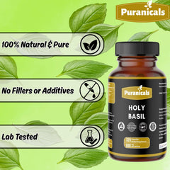 Herbal health benefits of Holy Basil