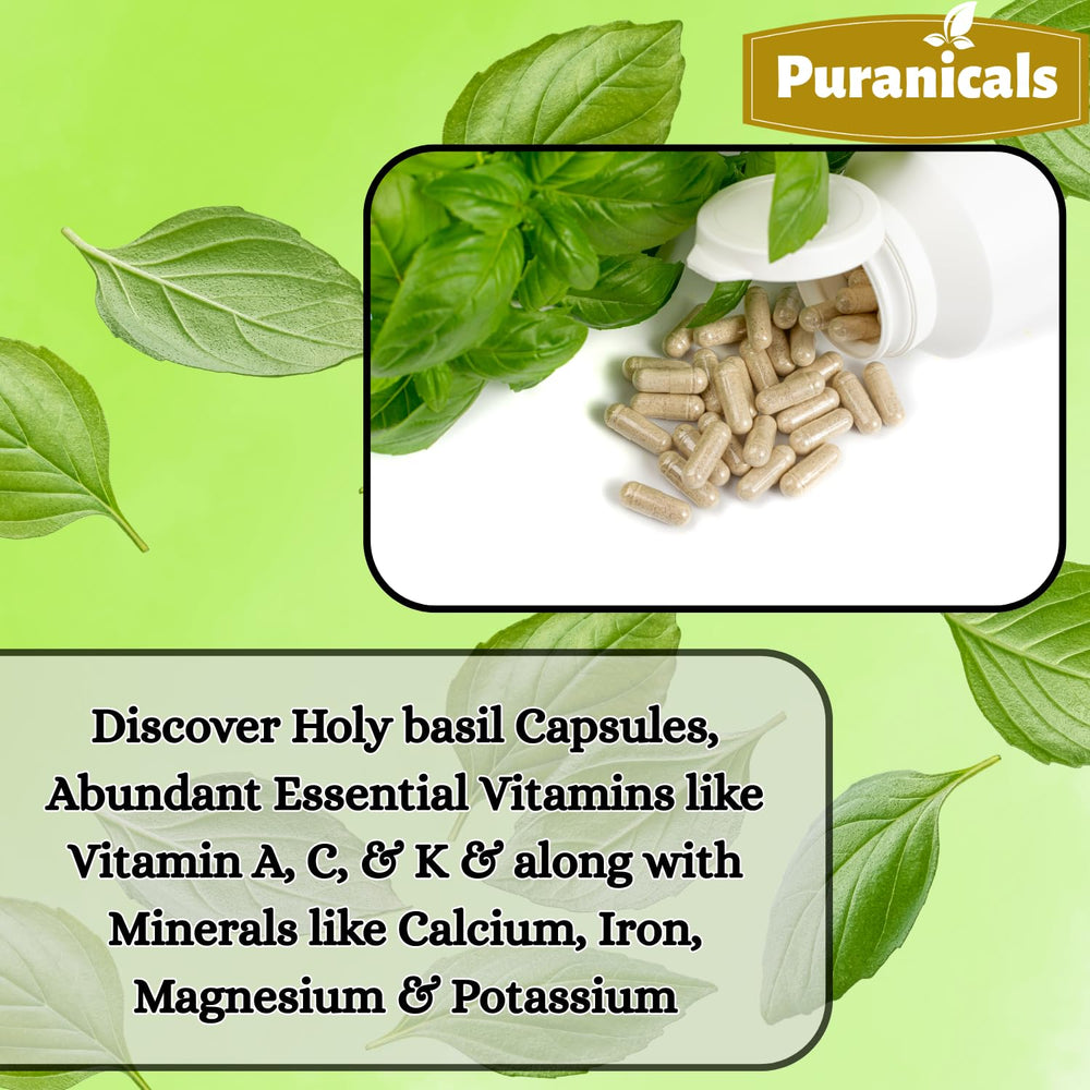Sealed jar of Holy Basil capsules