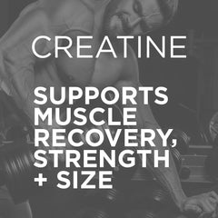 Rainbow Candy flavored creatine powder dissolved in a shaker