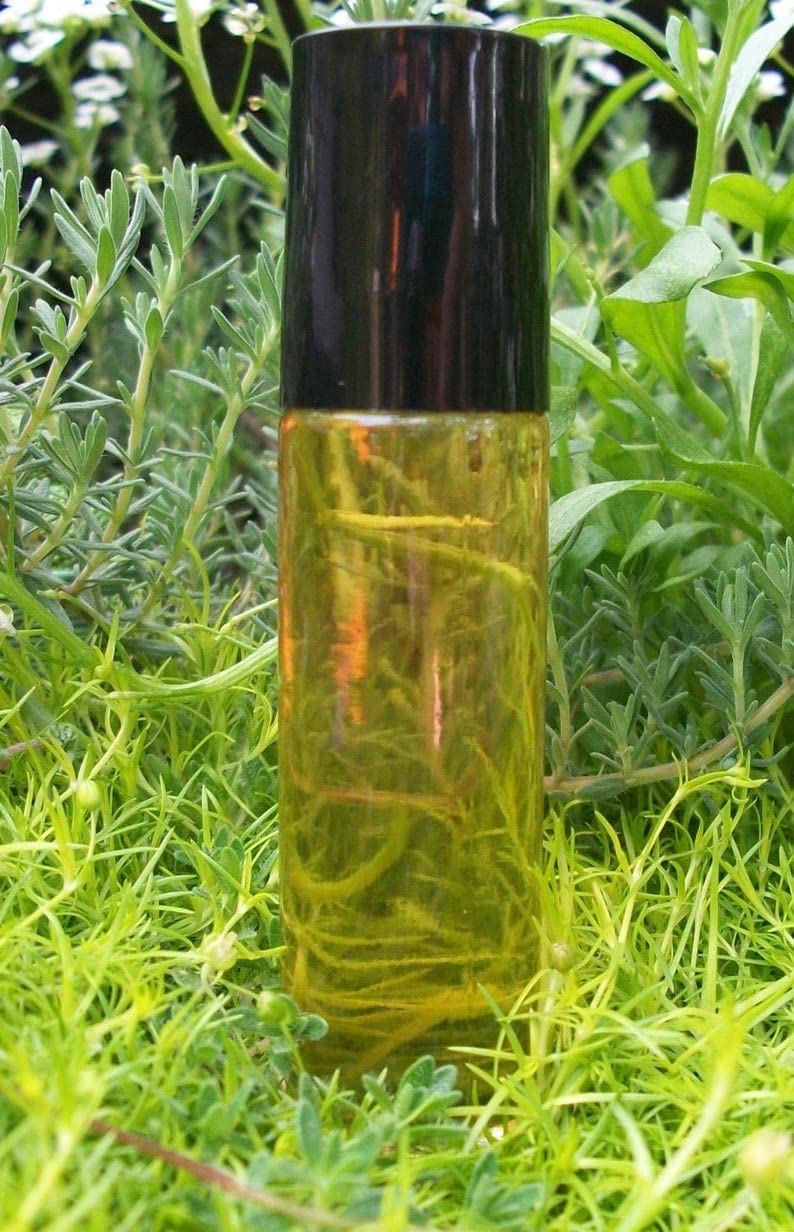 Pure Egyptian Musk Oil (Civet Blend) 10ml bottle - utopia africa