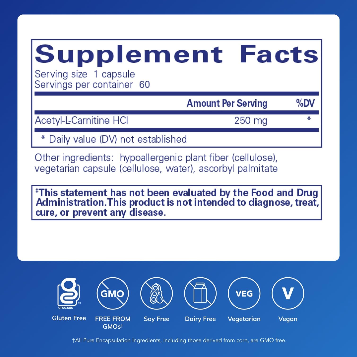 Acetyl-L-Carnitine capsules close-up highlights brain function benefits
