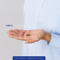 CurcumaSorb Mind packaging on shelf conveying premium quality