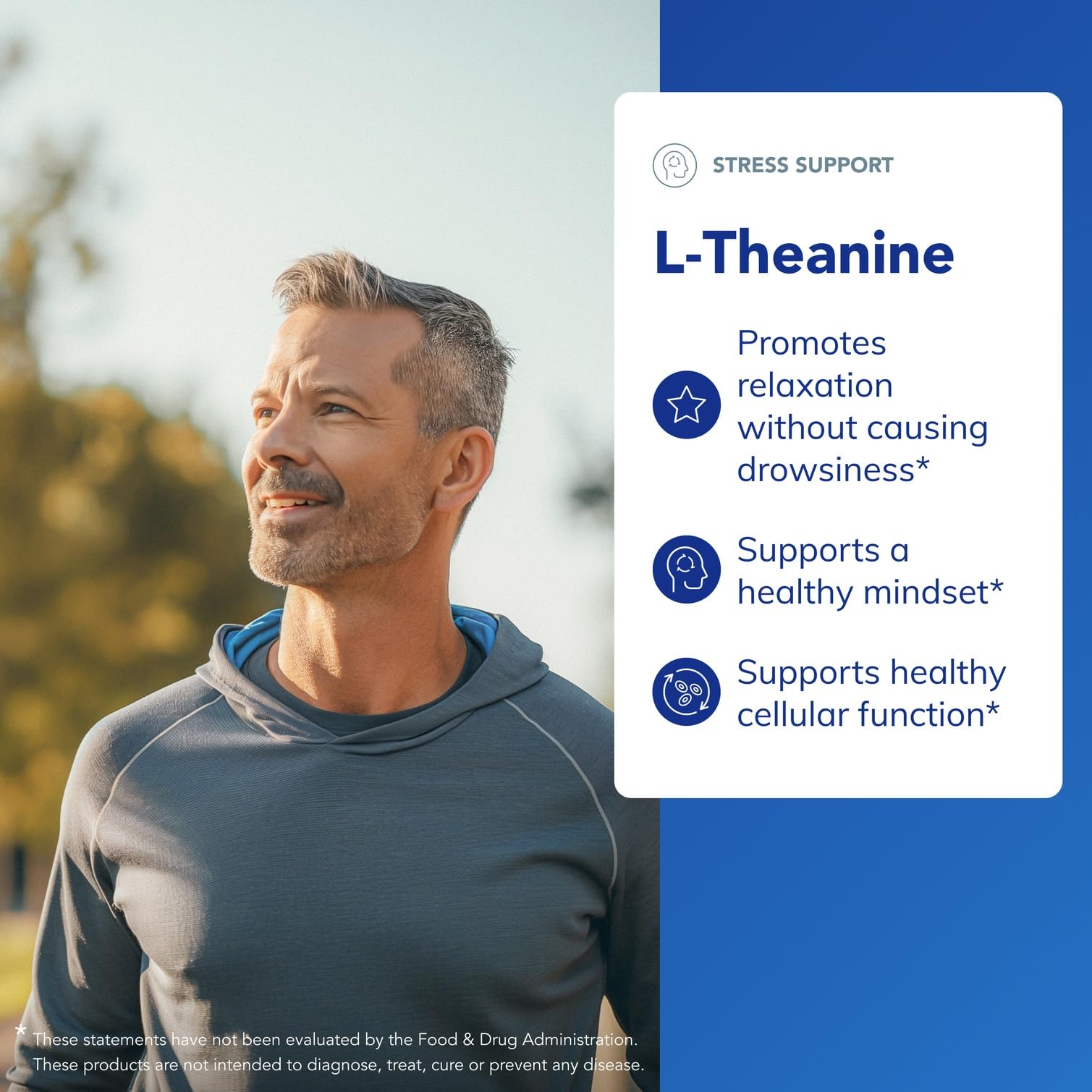 L-Theanine capsules inside the bottle