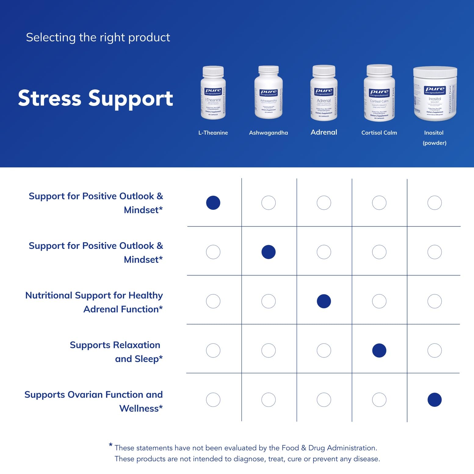 Lifestyle image showing relaxation with L-Theanine bottle