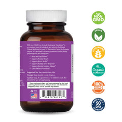 Pure Essence Labs Transitions capsules closeup suggesting natural menopause relief possibilities