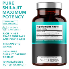 Close-up of Shilajit capsules highlighting easy-to-swallow design