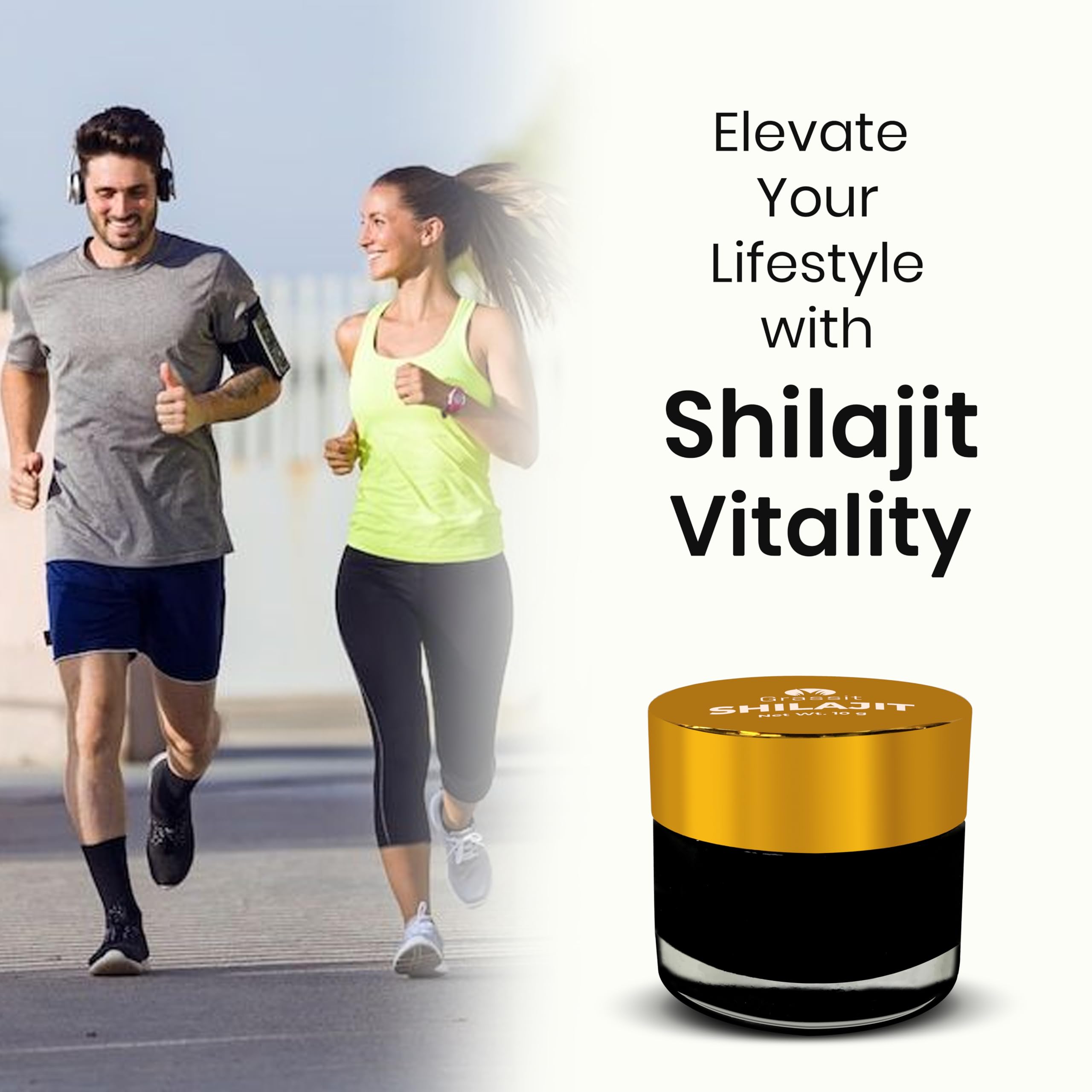 Pure Himalayan shilajit resin ingredients and minerals