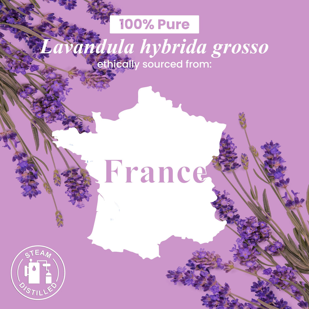 Close-up view of pure lavender essential oil