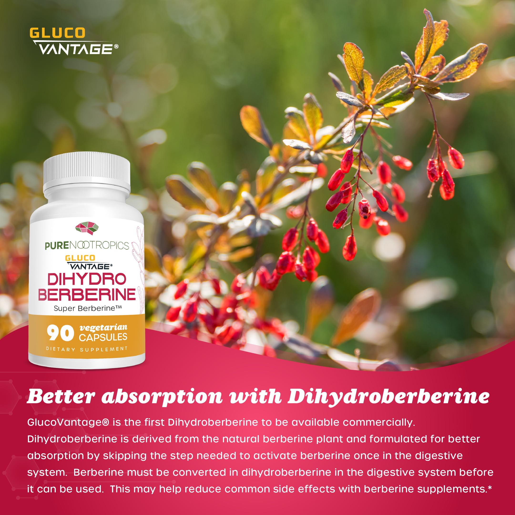 Berberine natural source illustration
