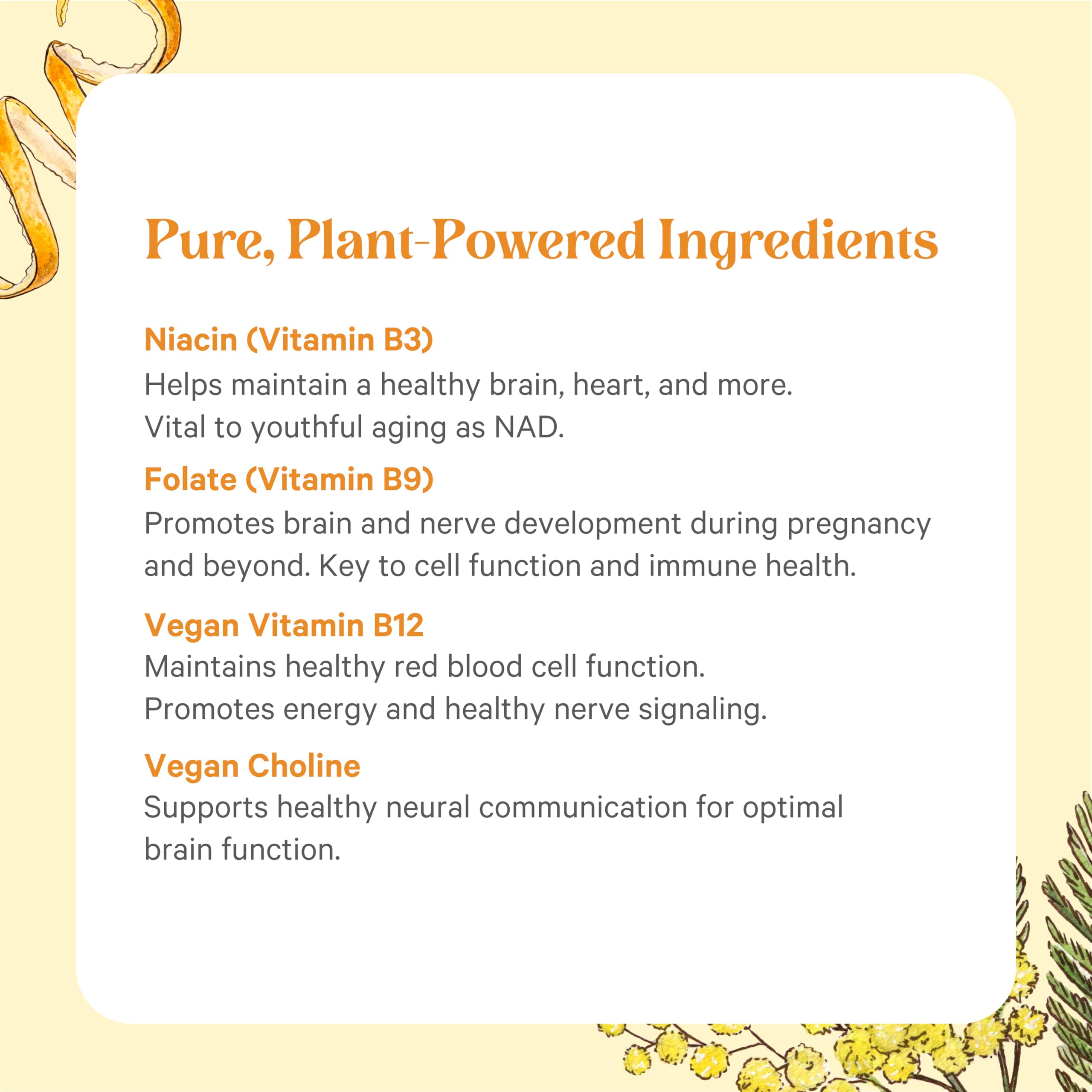 Organic, Non-GMO, vegan and gluten-free icons