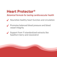 PURE SYNERGY Heart Protector on a kitchen counter ready for morning routine