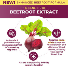 Back of PurePremium Beet Root Capsules bottle with supplement facts