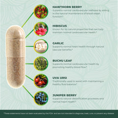 Graphic representing nitric oxide support for cardiovascular health