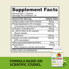 Puridian Brain Supplement ultra-absorb capsules