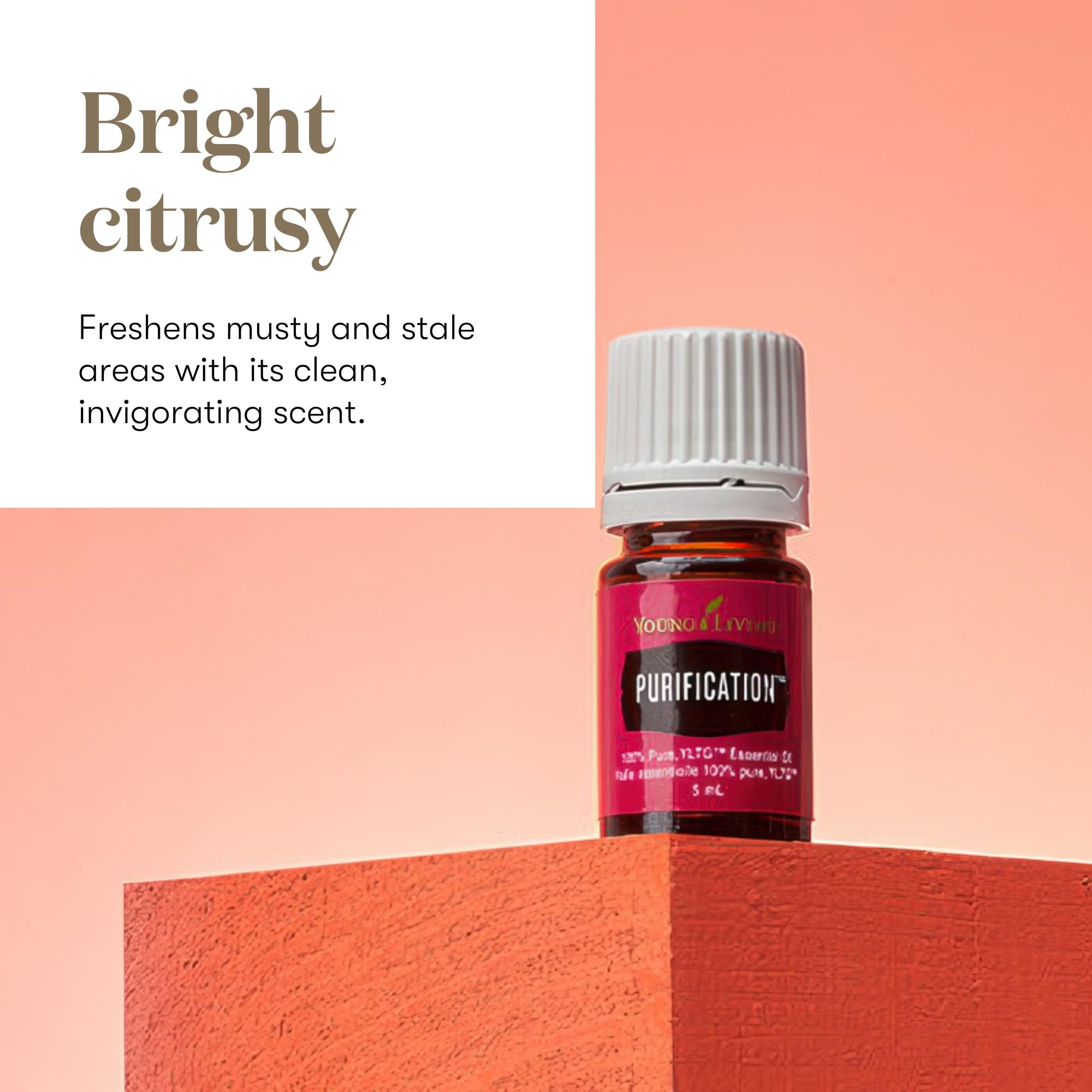 Diffuser-ready Purification Essential Oil 5ml bottle