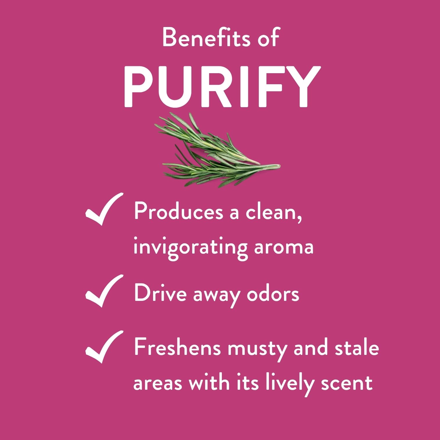 Diffuser releasing Purify essential oil aroma