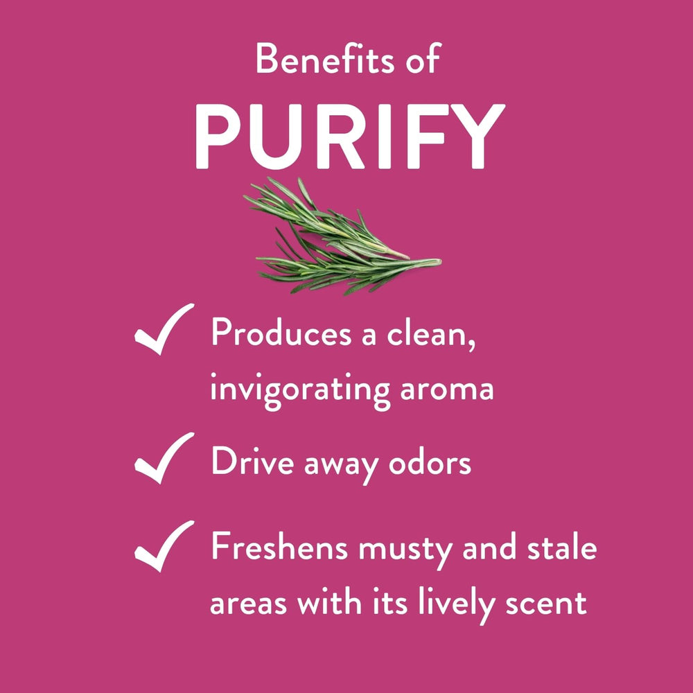Diffuser releasing Purify essential oil scent