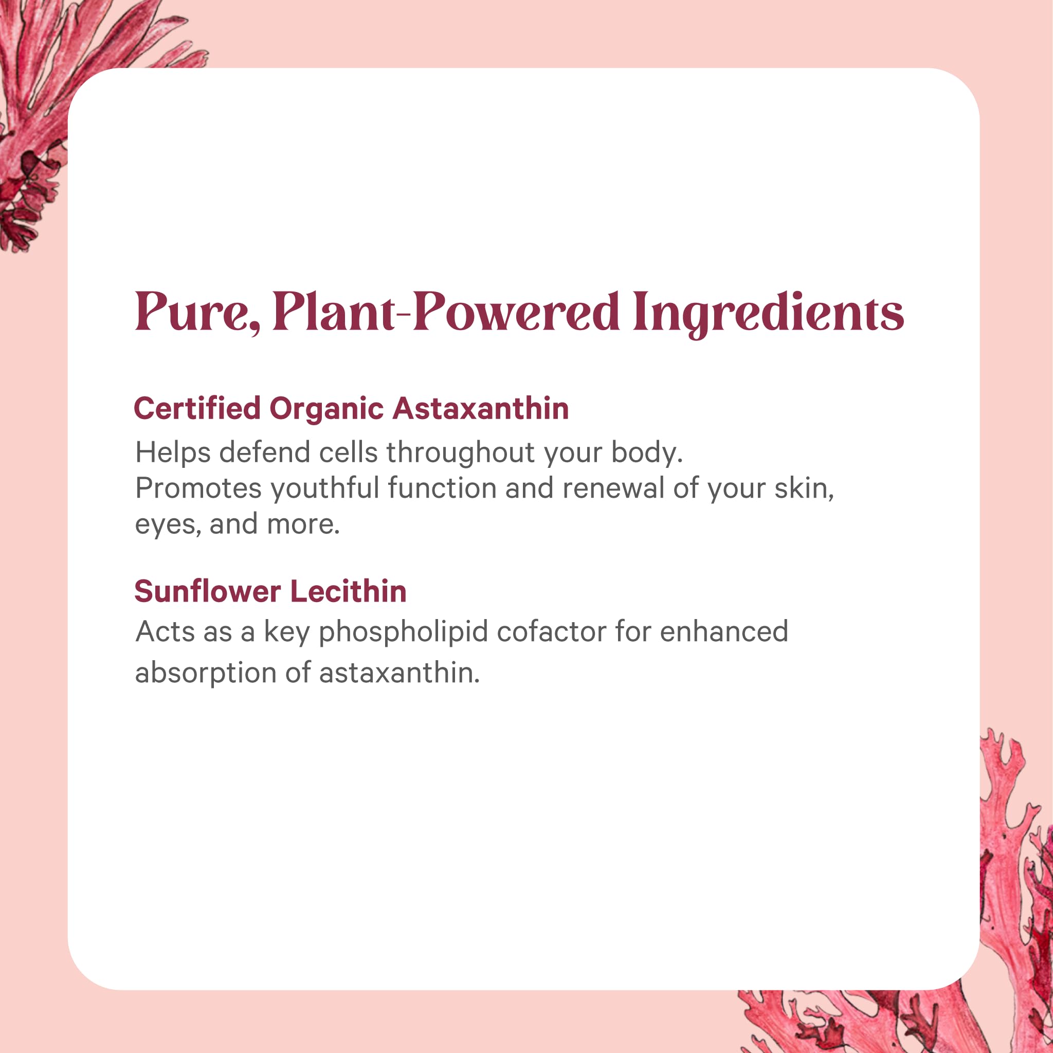 Purity verification and solvent-free extraction details