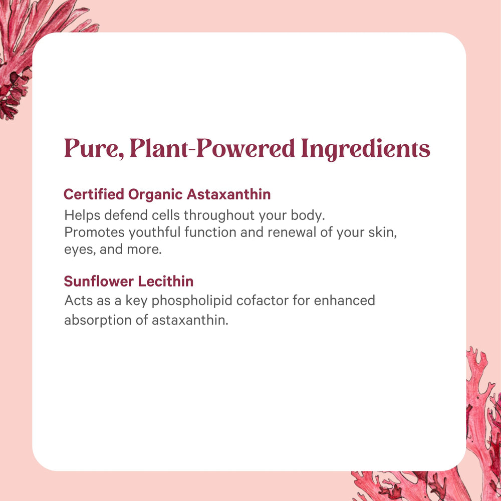 Purity verification and solvent-free extraction details